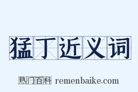 猛丁近义词是什么意思的图片